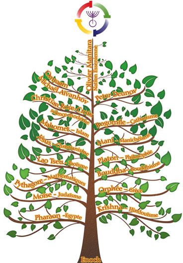 arbre-tradition-essenienne-web