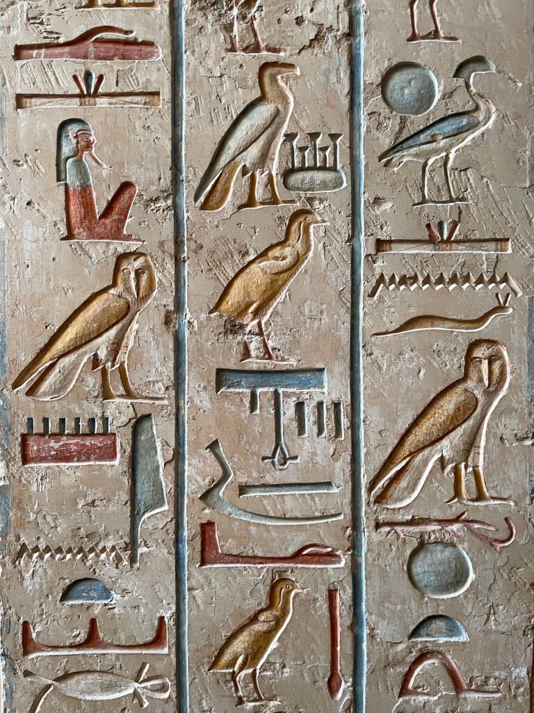 hieroglyph, wall, travel, bird, history, ancient, architecture, egypt, cairo, sphinx, pyramids, nature, giza